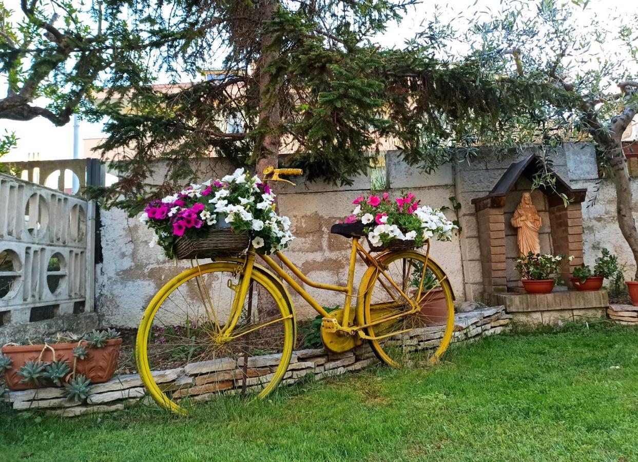 Goccia Azzurra Bed & Breakfast Silvi Marina Dış mekan fotoğraf