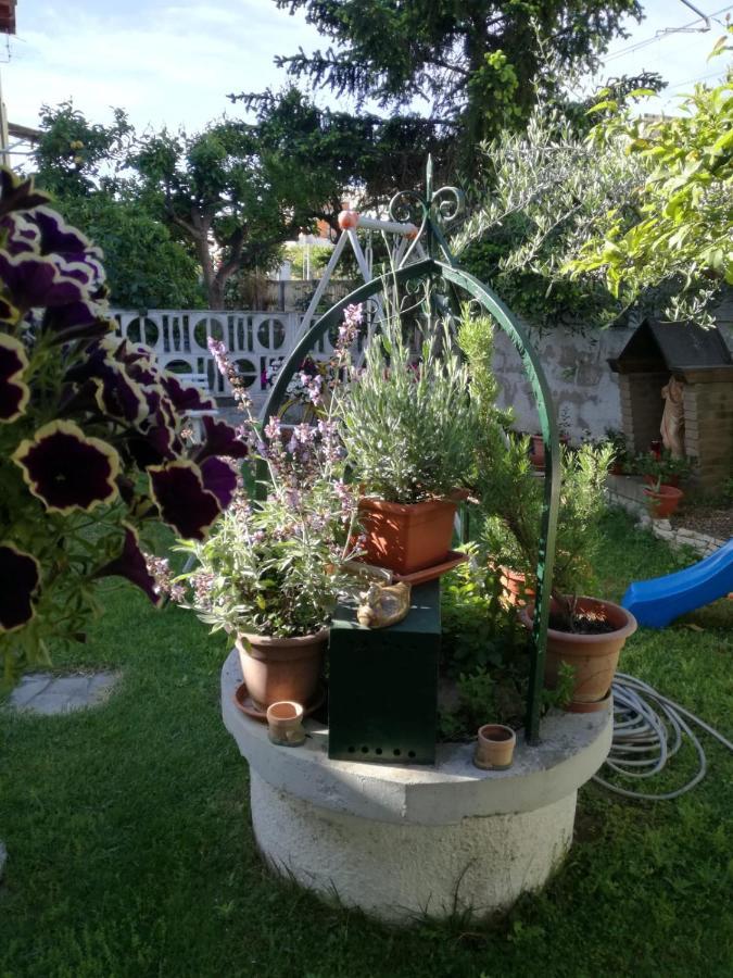 Goccia Azzurra Bed & Breakfast Silvi Marina Dış mekan fotoğraf